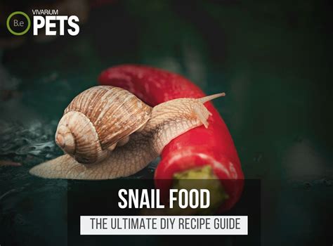 What Do Snails Eat? + The Ultimate DIY Snail Food Recipe!