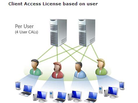 Image result for Client Access License Example