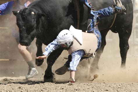 LOOK: Ponies Pistols and Pistons at the Twin Falls Fair