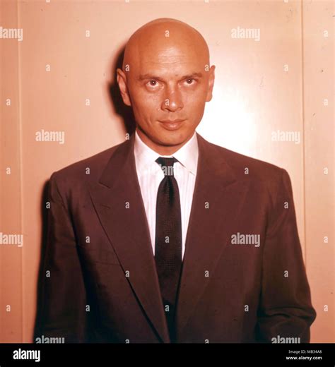 Yul Brynner Filmleri