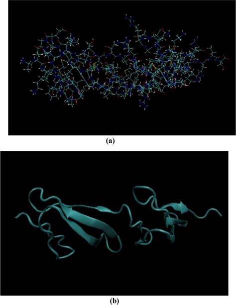 Image result for Fibronectin Molecular Structure