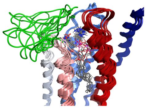 Structural Characterization of an LPA1 Second Extracellular Loop ...