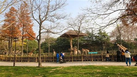 上海野生动物园门票,上海野生动物园门票预订,上海野生动物园门票价格,去哪儿网门票