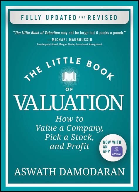 Buy The Little Book of Valuation: How to Value a Company, Pick a Stock ...