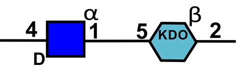EK15 : K15 antigen