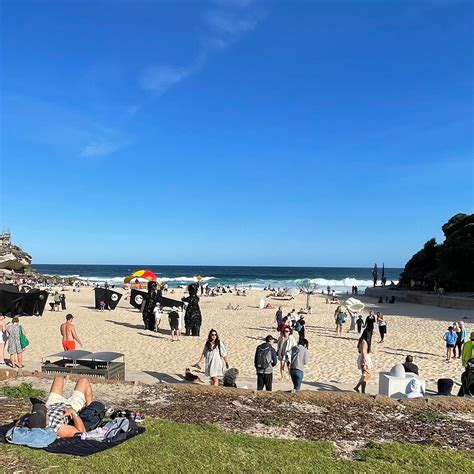 TAMARAMA PARK (2026) All You Need to Know BEFORE You Go (with Photos ...