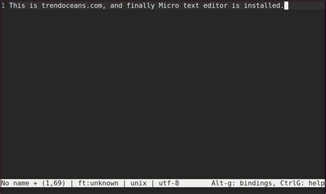 Image result for How to Use Micro Text Editor