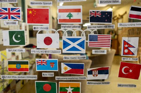 Image result for Multilanguage Flags