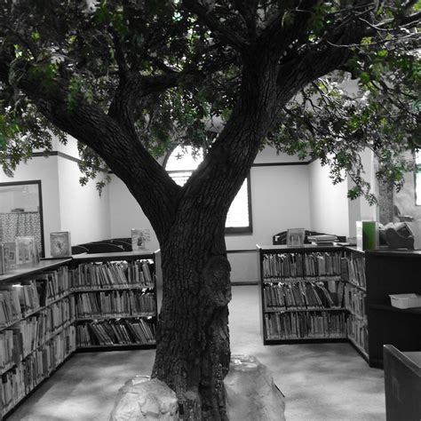 BUENA VISTA BRANCH LIBRARY - All You Need to Know BEFORE You Go 2026 ...