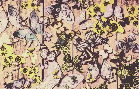 Image result for Flight Patterns Singer Cover