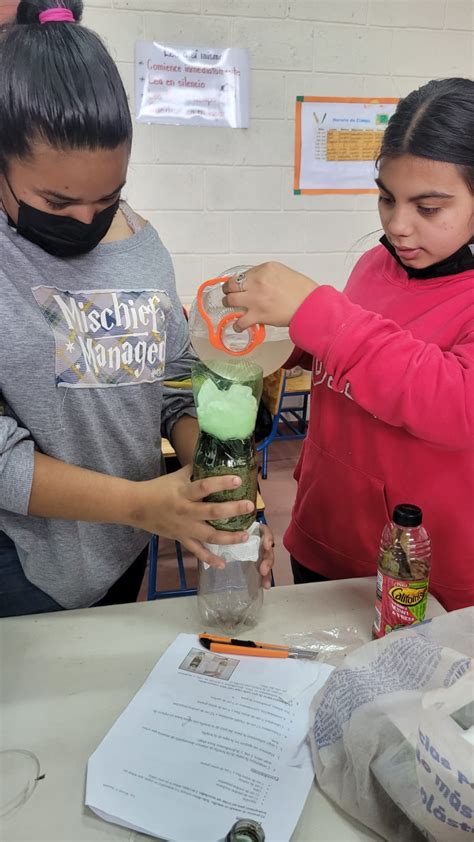 Science Experiments: The Water Cycle