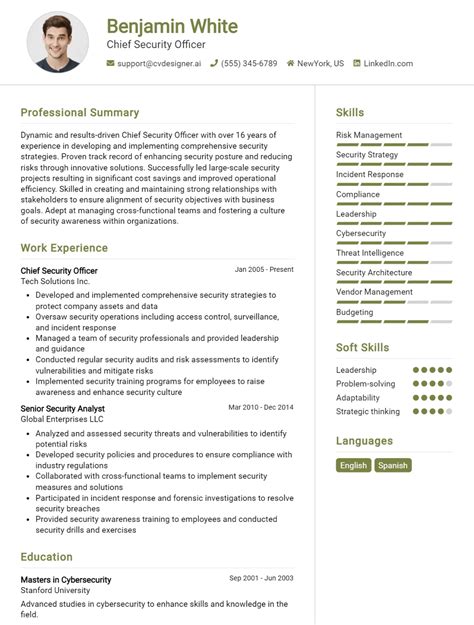 Chief Security Officer CV Example For 2024: Tips to Stand Out - CVDesigner.ai