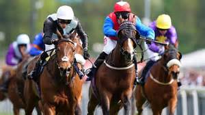Zoffee records famous Chester Cup success for Michael Owen and Hugo ...
