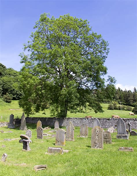 Greyfriars Burial Ground, perth, United Kingdom - Top Attractions ...