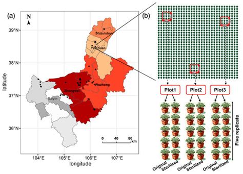 Key Soil Abiotic Factors Driving Soil Sickness in Lycium barbarum L ...