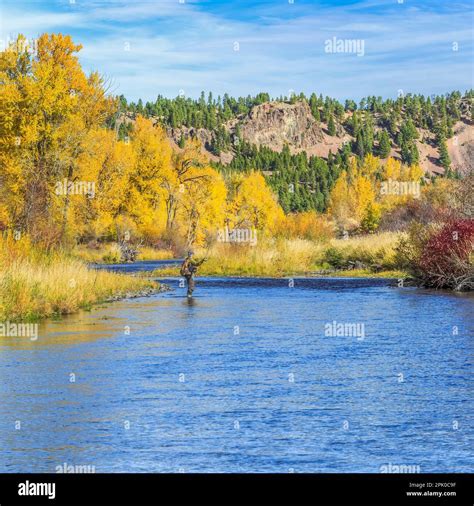 Where Is The Little Blackfoot River In Montana at Robin Bradley blog
