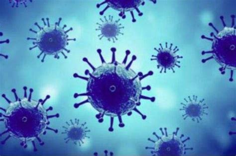细菌和病毒的区别，为什么病毒要比细菌可怕得多？ | 说明书网