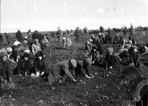 Голодомор на Украине. 10 главных фактов о трагедии 1930-х годов - BBC ...