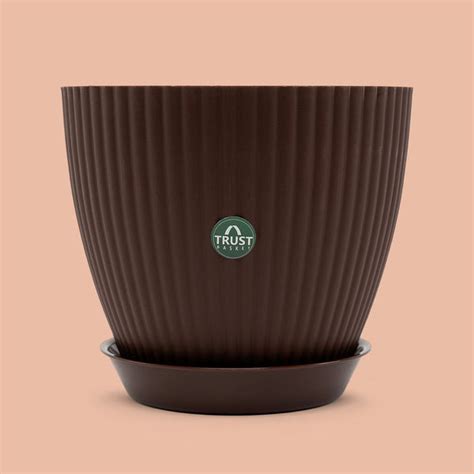 TrustBasket Bloom Pot With Saucer | Table Top Planter Pot (Pack of 4)