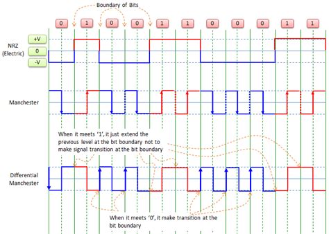 Image result for Digital Encoding Types