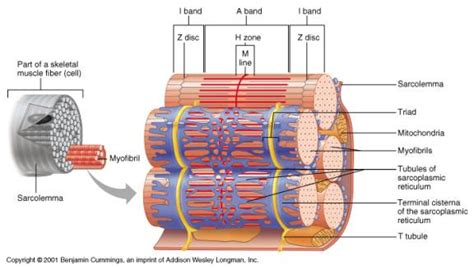 Image result for O2C Process Mining