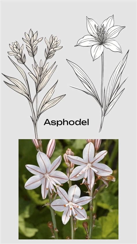 Image result for Examples of Model Visualization
