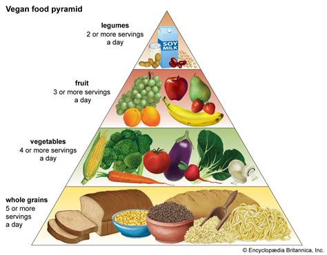 Food pyramid | Origins, History, Variations, Debates, & Facts | Britannica
