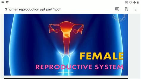 Image result for Human Reproduction YouTube