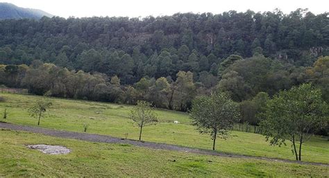 RANCHO LA MAGOLLITA (Ciudad Hidalgo) - Ranch Reviews & Photos - Tripadvisor