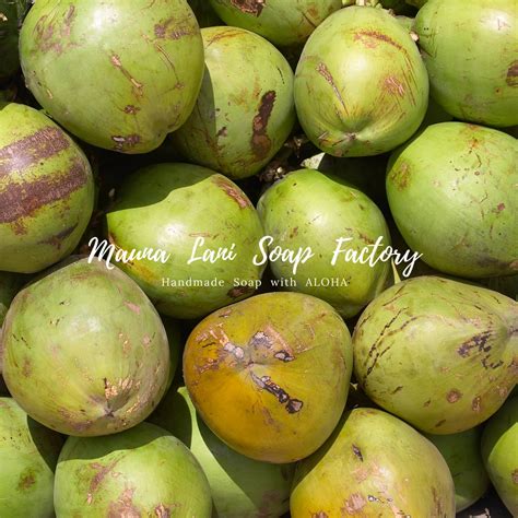 Mauna Lani オフィシャルサイト | Mauna Lani Soap Factory