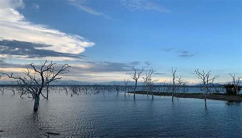 Lunugamvehera National Park Is A Heaven For Naturalists