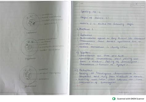 Spotting 4 - EXPT NAME NO Page No Date Spotting No : 4 centrious plasma ...