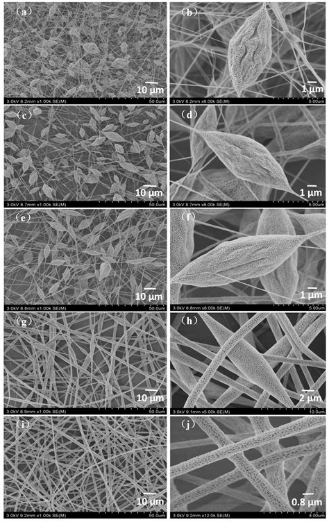 Nanoporous PLA/(Chitosan Nanoparticle) Composite Fibrous Membranes with ...