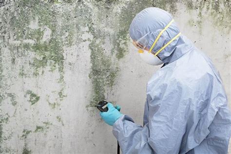 Image result for Jhon Mold Testing