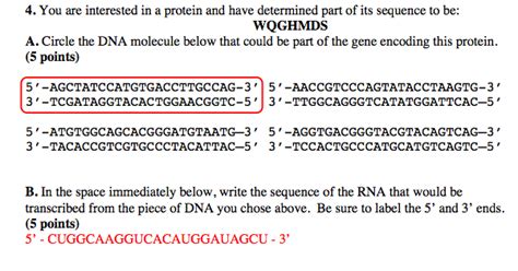 How to Code DNA Sequence Practice 的图像结果