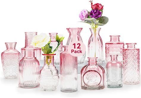 Amazon.com: Dyrfolm Glass Bud Vases Set of 12,Small Glass Vases for ...