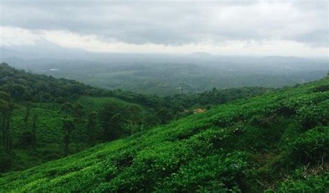 This Heart-Shaped Lake Atop Wayanad's Chembra Peak Is A Sight For The ...