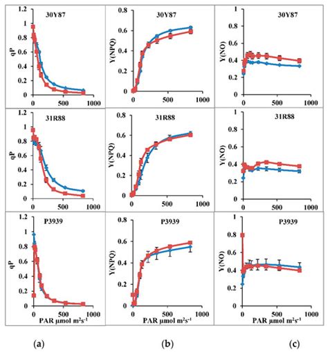 IJMS | Topical Collection : Photosynthesis in Plants and Algae ...