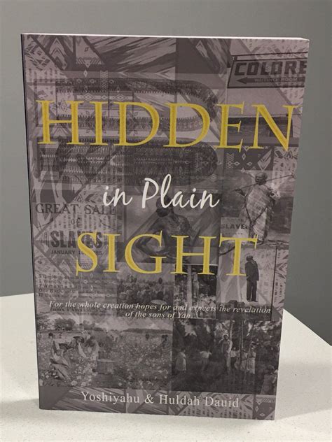 Hidden in Plain Sight – Juniper Books Inc
