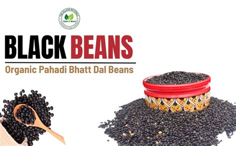 The Village Naturals Organic Pahadi Bhatt Dal Beans/Bhatt ki Dal (Black ...