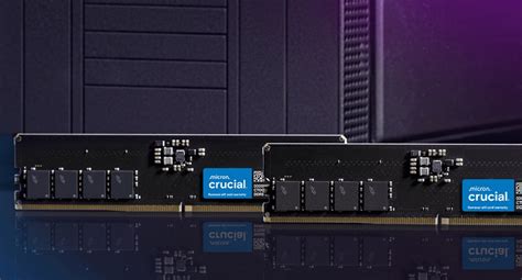 Crucial 24GB DDR5-5600 SODIMM | CT24G56C46S5 | Crucial IN