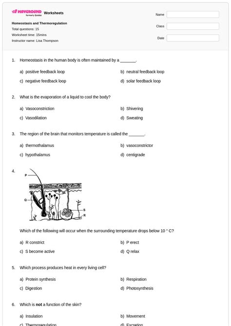 50+ Digestive Homeostasis worksheets for Class 9 on Wayground | Free ...