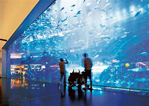 Retail Establishment Example 的图像结果