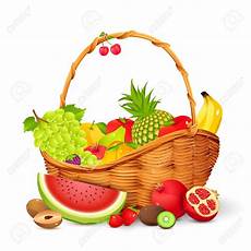 Fruit Basket Clipart by Clipart Of Fruit Basket 101 Clip Fruit Basket Clipart
