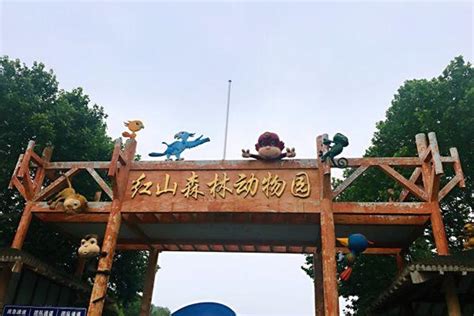 南京带小孩好玩的地方排行榜 南京适合亲子游的地方_旅泊网