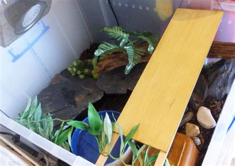 Image result for Ball Python Tubs