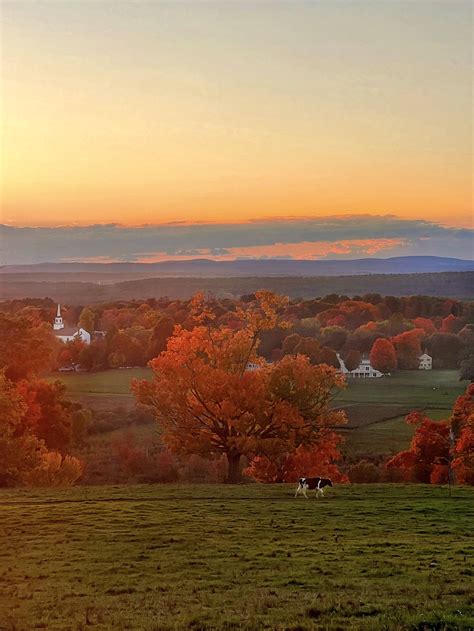 Gibbet Hill Campus at Flynn Barney blog