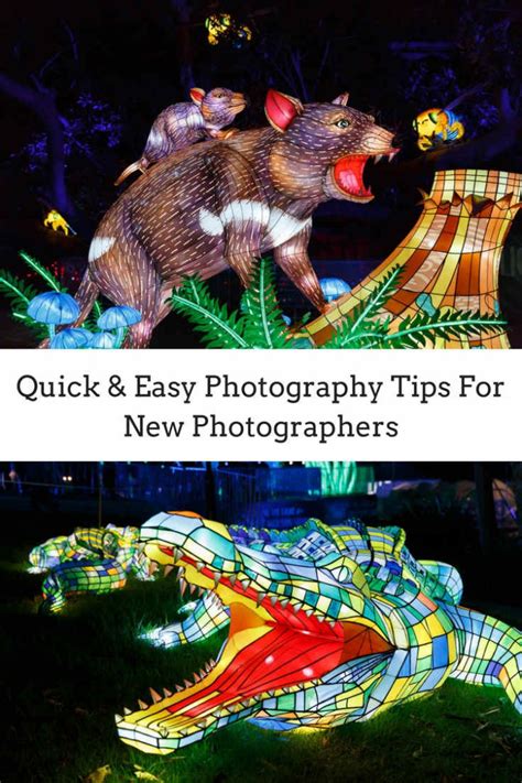 Photography Tips 的图像结果