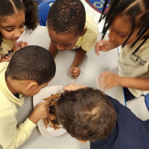 Orchard Gardens K-8 School (@orchardgardensk8school) • Instagram photos ...