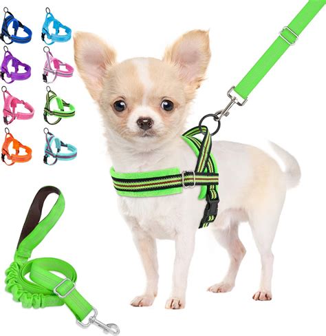Amazon.com : Lukovee Soft Padded Small Dog Harness (X-Small, Green ...